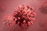 Details of SARS-CoV-2 seroprevalence surveys supported by the US CDC