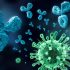 Diseases suppressed during Covid are back