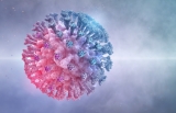 What is the increase in suspected SARS-CoV-2 reinfections across different demographics?