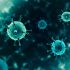 Monkeypox vaccine maker and WHO ink Latin America deal