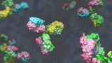 SARS-CoV-2 RNA and antibody detection in infected mothers’ breast milk