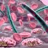 10 health complications seen after COVID infection: Here’s what research studies have found