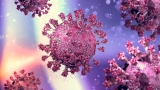 SARS-CoV-2 spike protein and messenger ribonucleic acid found to translocate into the nucleus
