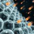 Iberville Parish reported 12 additional COVID-19 cases this week