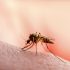 CDC Expands Updated COVID-19 Vaccines to Include Children Ages 5 Through 11 | CDC Online Newsroom