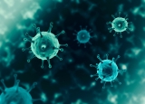 Using traveler arrival COVID-19 screening data for real-time SARS-CoV-2 surveillance