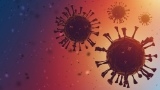 The viral fitness and antigenic relationship among Omicron sublineages