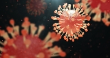 WHO releases new data on worldwide influenza activity