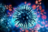Human case of swine-origin influenza A virus detected in Denmark, according to CDC study