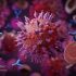 Flu activity is now ‘low’ in Washington state