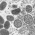 PA COVID-19 Update – Wednesday, June 15