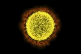 Coronavirus cases in Florida increased by nearly 16%