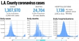 L.A. County reported 2,293 new cases and 20 new deaths, Aug. 3 – Daily News