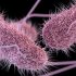 Coronavirus death toll in US eclipses 1918 influenza pandemic estimates