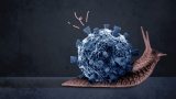 What the CDC’s new study tells us about long COVID