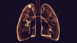 First-of-its-kind whole lung simulator helps predict new treatments and vaccines for tuberculosis