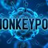 US moved online, worked more from home as pandemic raged