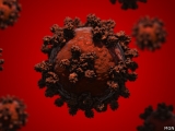 CDC predicts COVID-19 deaths to reach over 15,000 per week by Jan. 8