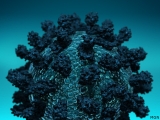 WEDNESDAY UPDATES: CDC report shows increase in Missouri coronavirus case rate