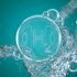 Not All Dietary Fiber Is Created Equal – Consumer Health News