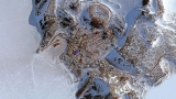 US research station in Antarctica pauses travel after COVID outbreak infects 98