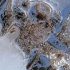 Spike in flu, RSV, COVID cases overwhelm U.S. healthcare facilities-Xinhua