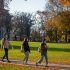 Fauci fears ‘anti-vaxxer attitude’ could cause outbreaks of non-COVID diseases