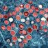US to stop supplying Lilly’s mAb for Covid-19 this month as commercial market awaits – Endpoints News
