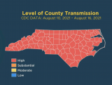 Coronavirus Today – Aug 18