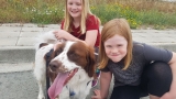 Dogs stranded abroad as US families face ban under CDC rabies rules