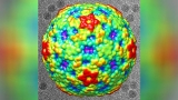 Respiratory illness among children could lead to polio-like condition