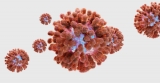 CDC Study: COVID Booster Effectiveness Drops After 4 Months, But Still Protects Against Hospitalization | Hartford HealthCare