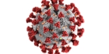 CDC Director discusses winter COVID forecast