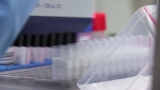 More Than 90% of COVID Cases in U.S. Linked to ‘Stealth Omicron’ Subvariants, CDC Estimates – NBC Chicago