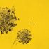 January 7, 2023 coronavirus update for Oakville