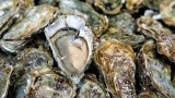 CDC: Norovirus outbreak linked to oysters sickens hundreds across 8 states
