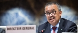 ‘WHO Has No Authority to Dictate U.S. Health Policy’
