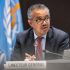 WHO issues consolidated guide to running effective telemedicine services