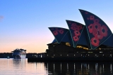 Majestic Princess cruise docks in Sydney with 800 covid cases