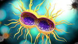 CDC reports STDs including gonorrhea, syphilis rose during 1st year of pandemic