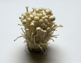 These mushrooms are linked to a listeria outbreak, according to the CDC