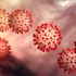Kennesaw State professors awarded NIH grant to improve children’s oral health