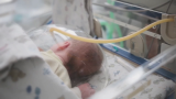 CDC warns of potentially deadly virus to newborns found in Central Florida – WFTV