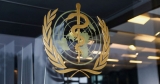 WHO urges China to share specific data regularly on COVID situation