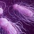 Review: Book richly illustrates pandemic’s impact on lives