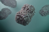 San Diego IDs 2 monkeypox cases; WHO warns int’l outbreak ‘poses real risk’