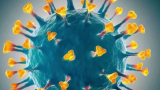 Getting COVID Twice Means You’re More Likely to Have Serious Long-Term Health Problems, Study Finds – NBC Los Angeles