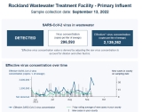 Knox County sees eight more COVID-19 cases, CDC reports Friday – Knox County VillageSoup