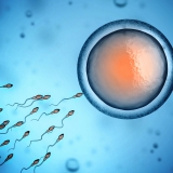 Study Discovers Gene Involved In Male Infertility