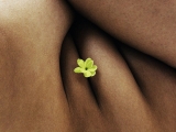 Why are females less likely to experience it?